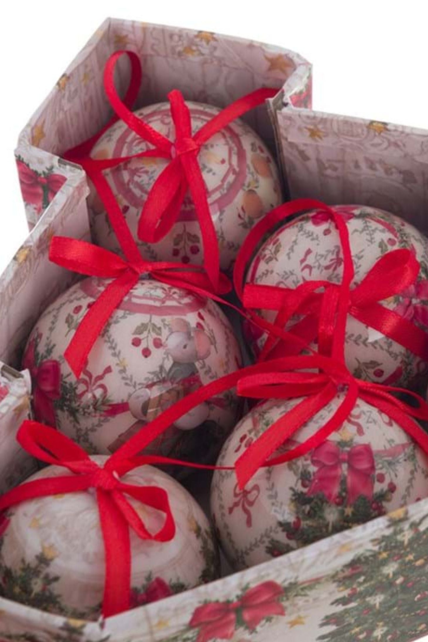 El país de las maravillas del oso