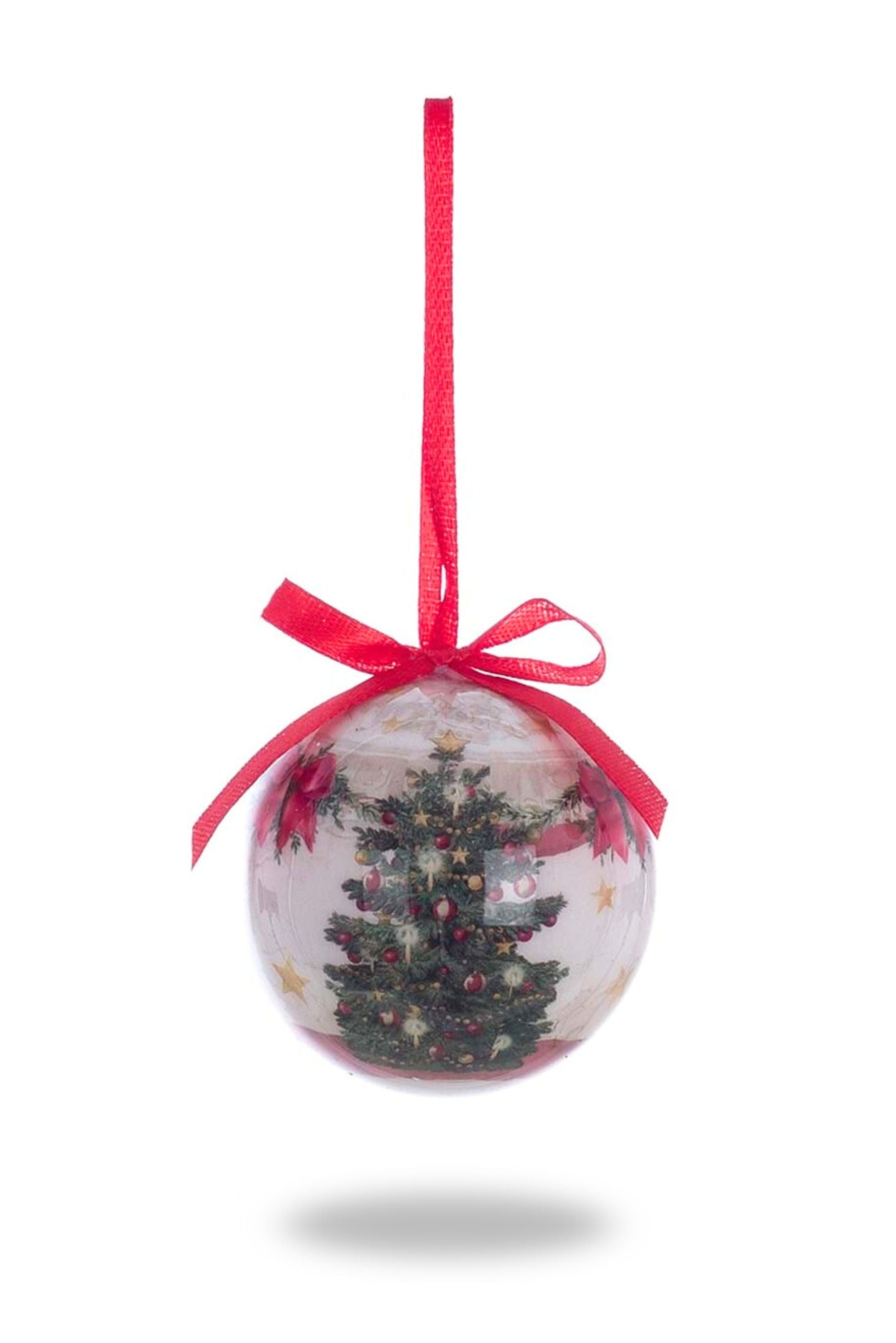 El país de las maravillas del oso