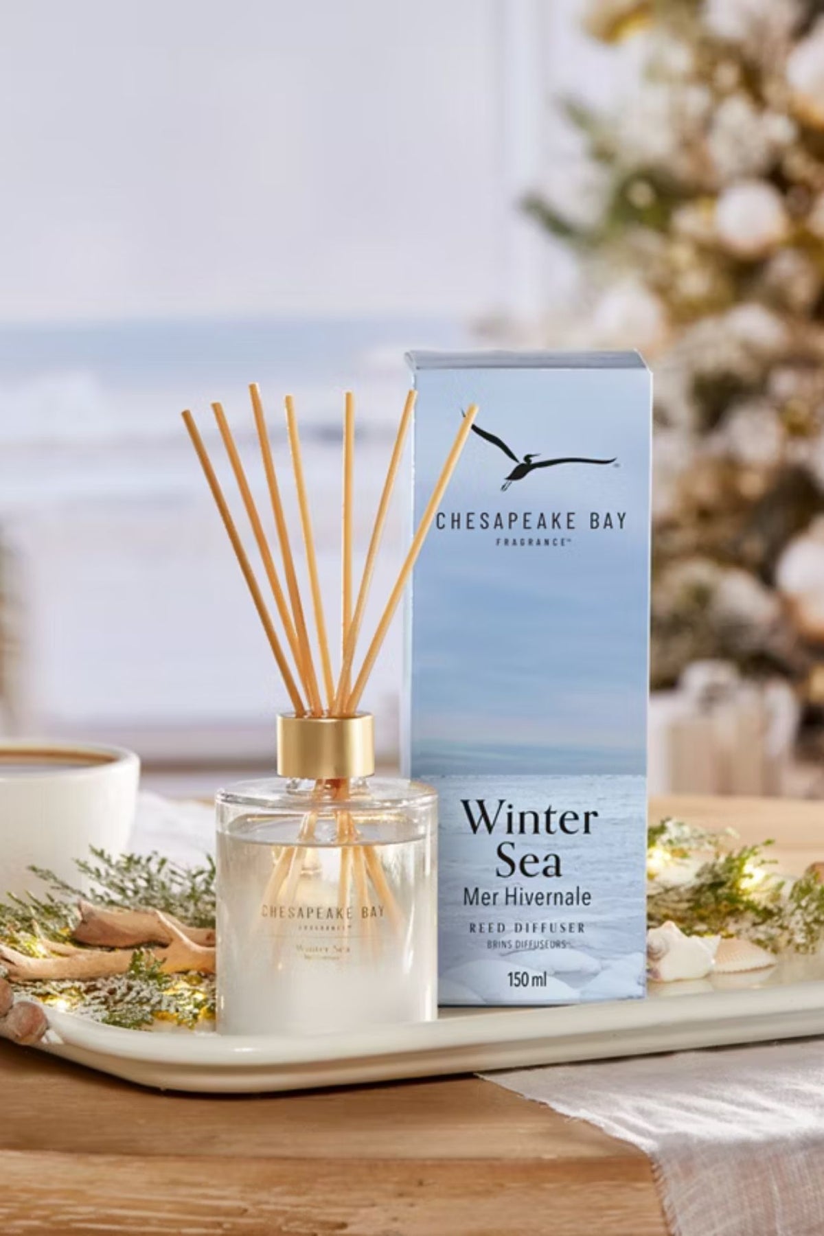 Winter Sea Diffusore Stick