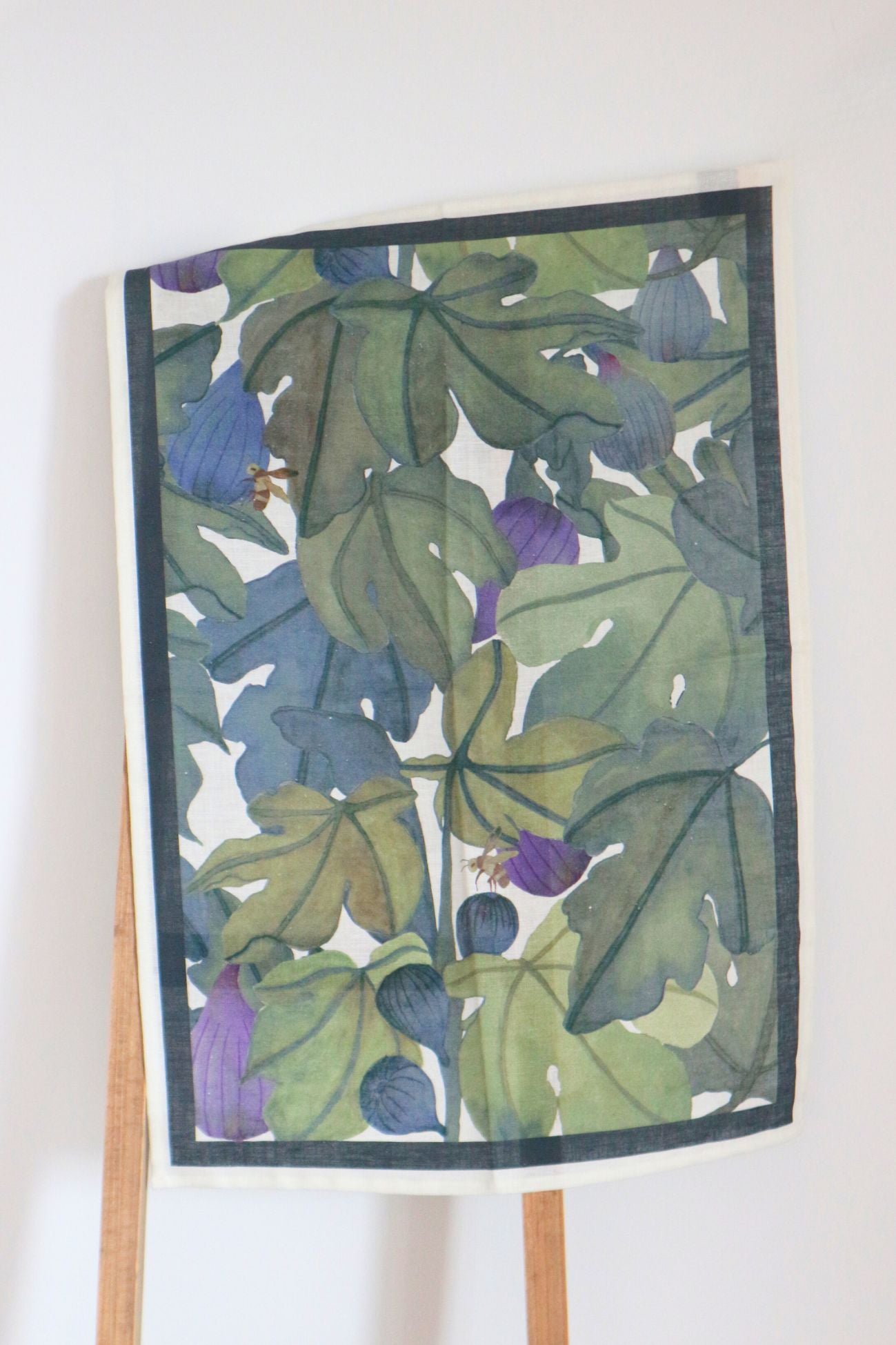 Ficus