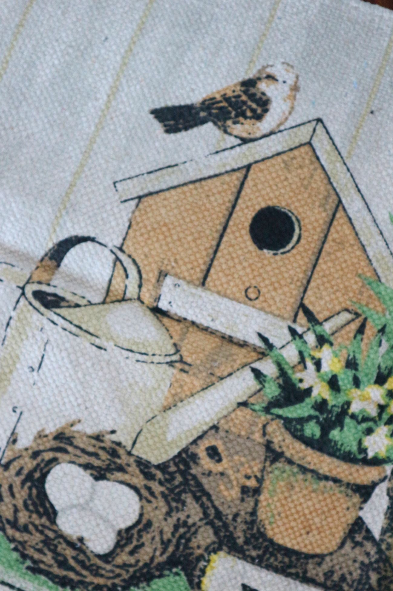 El país de las maravillas del oso