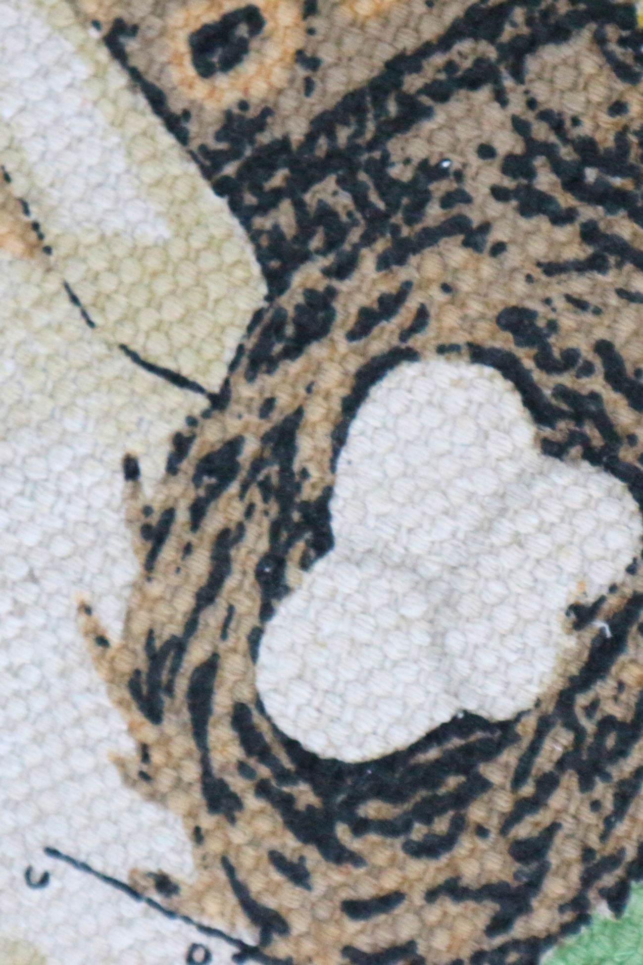 El país de las maravillas del oso