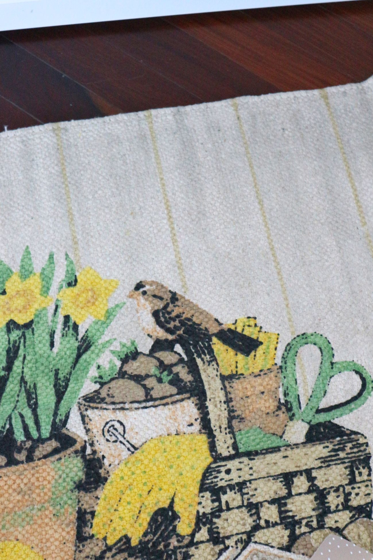 El país de las maravillas del oso