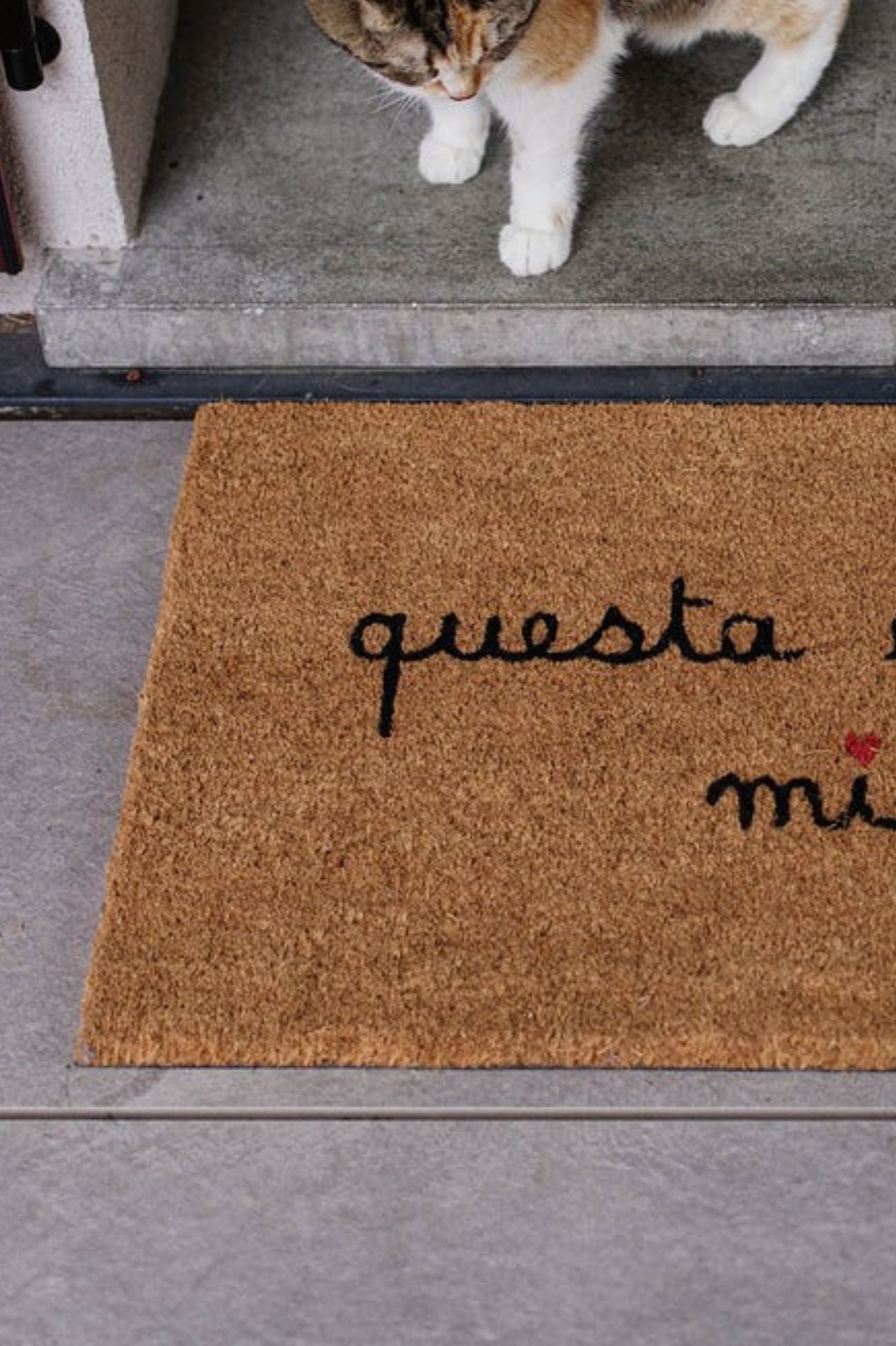 Esta es mi casa