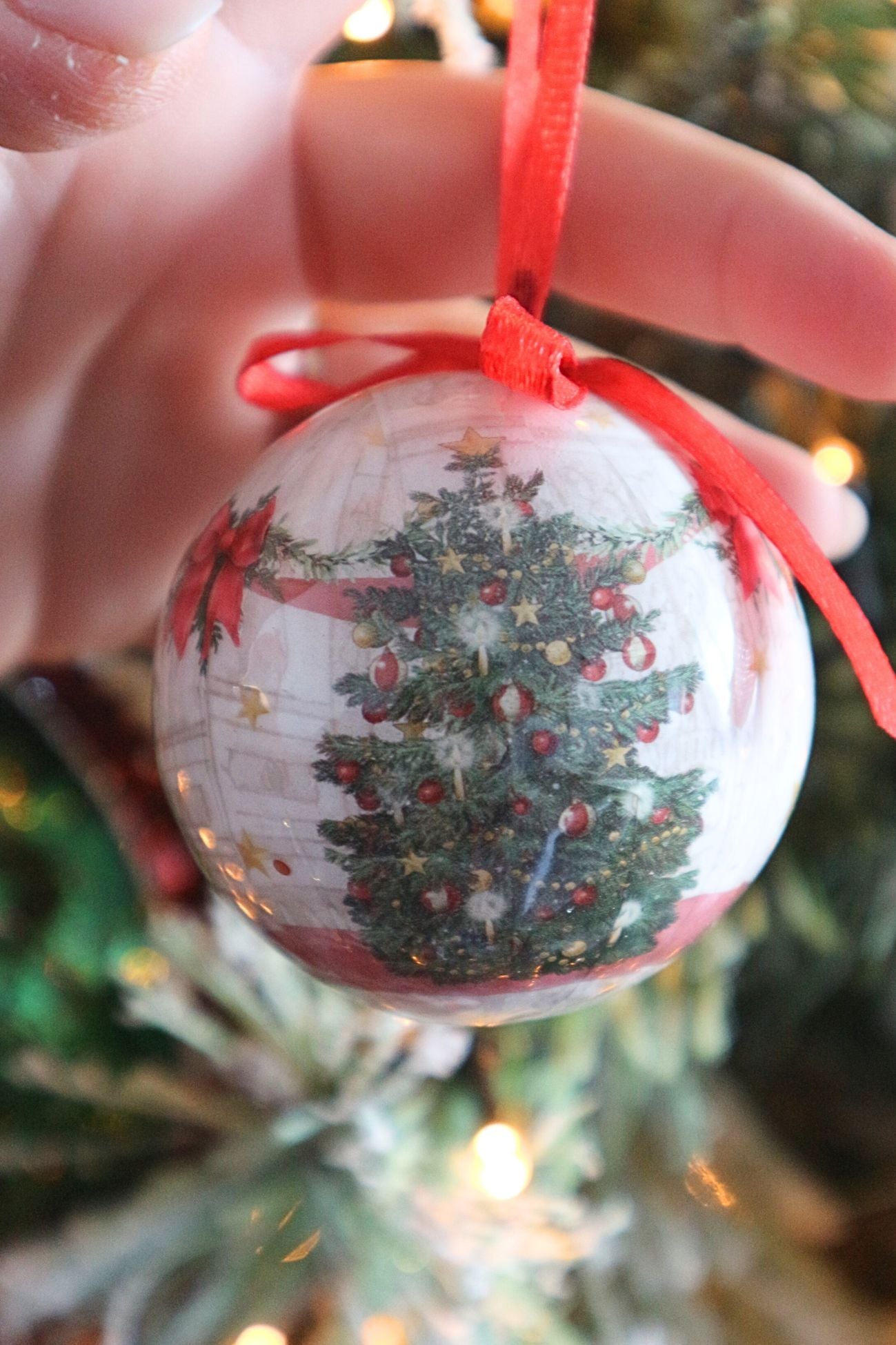 El país de las maravillas del oso