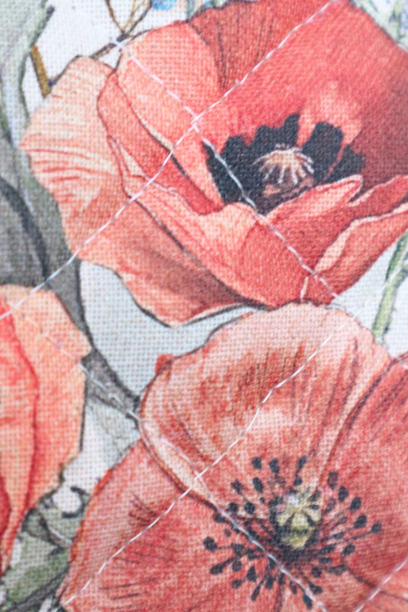 Coquelicot