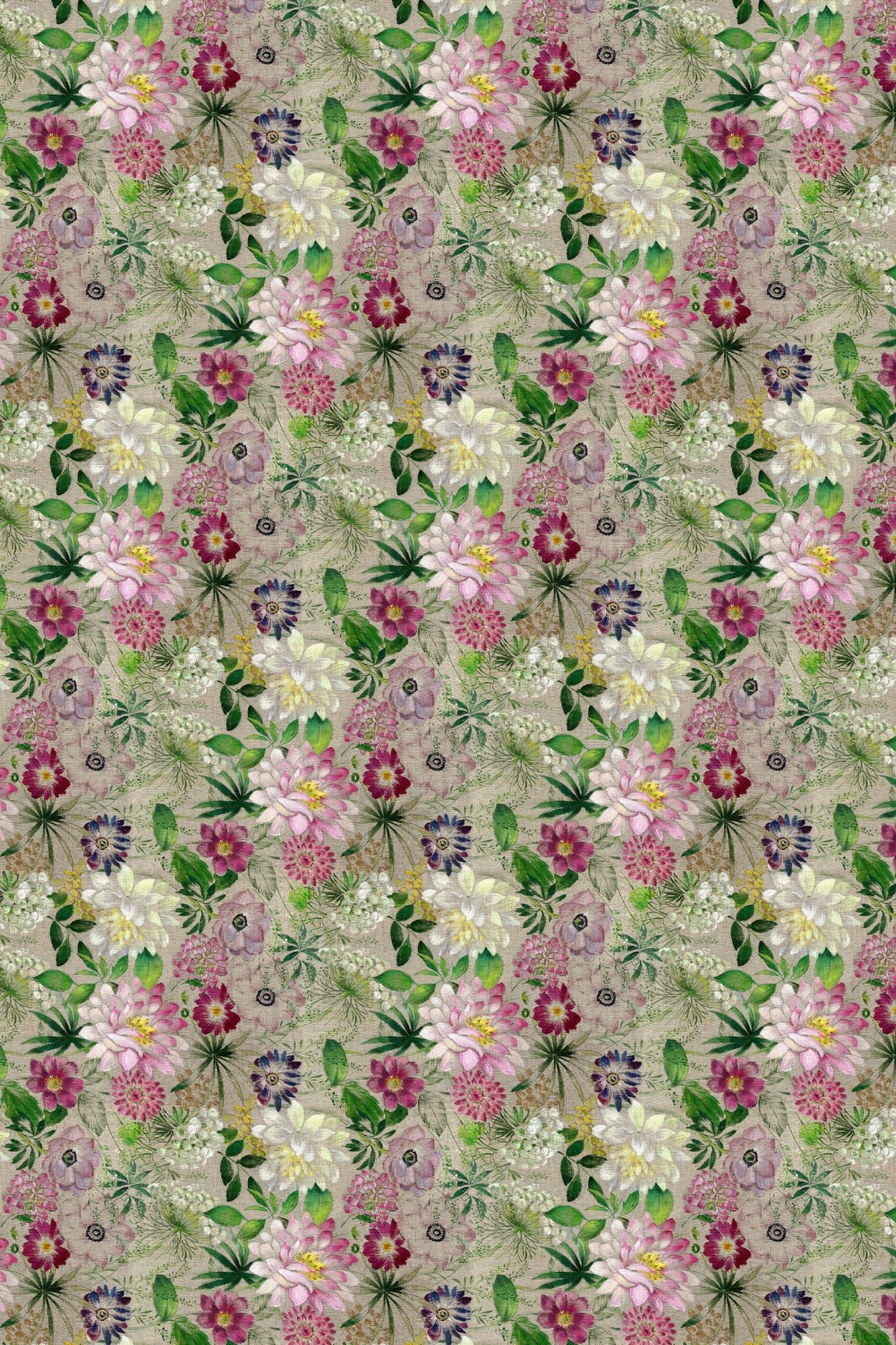 Life In Roses