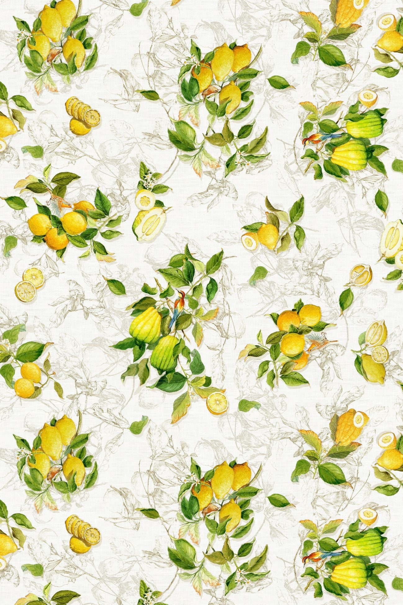 limoncello