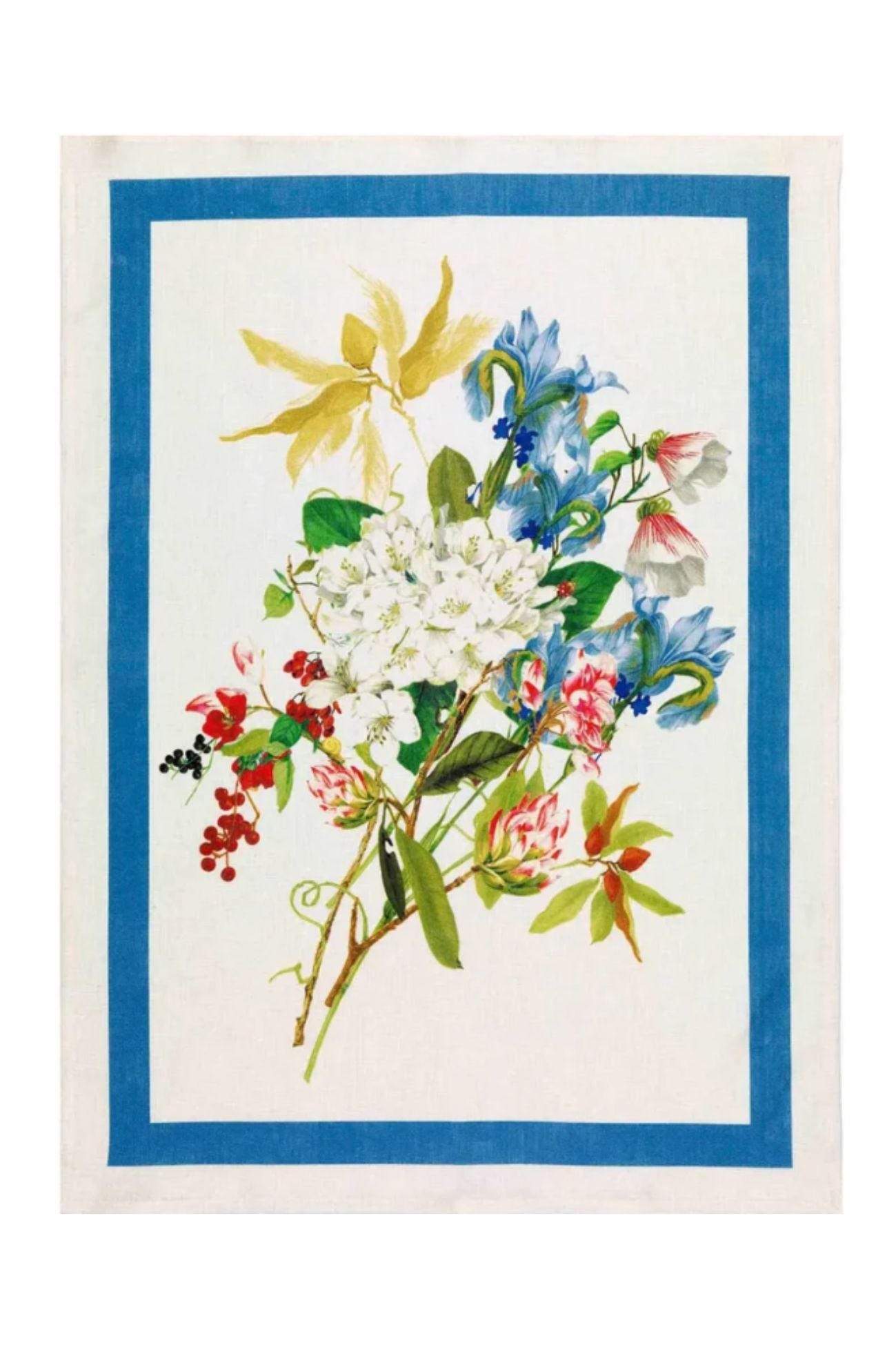 Ibisco Strofinaccio Azzurro