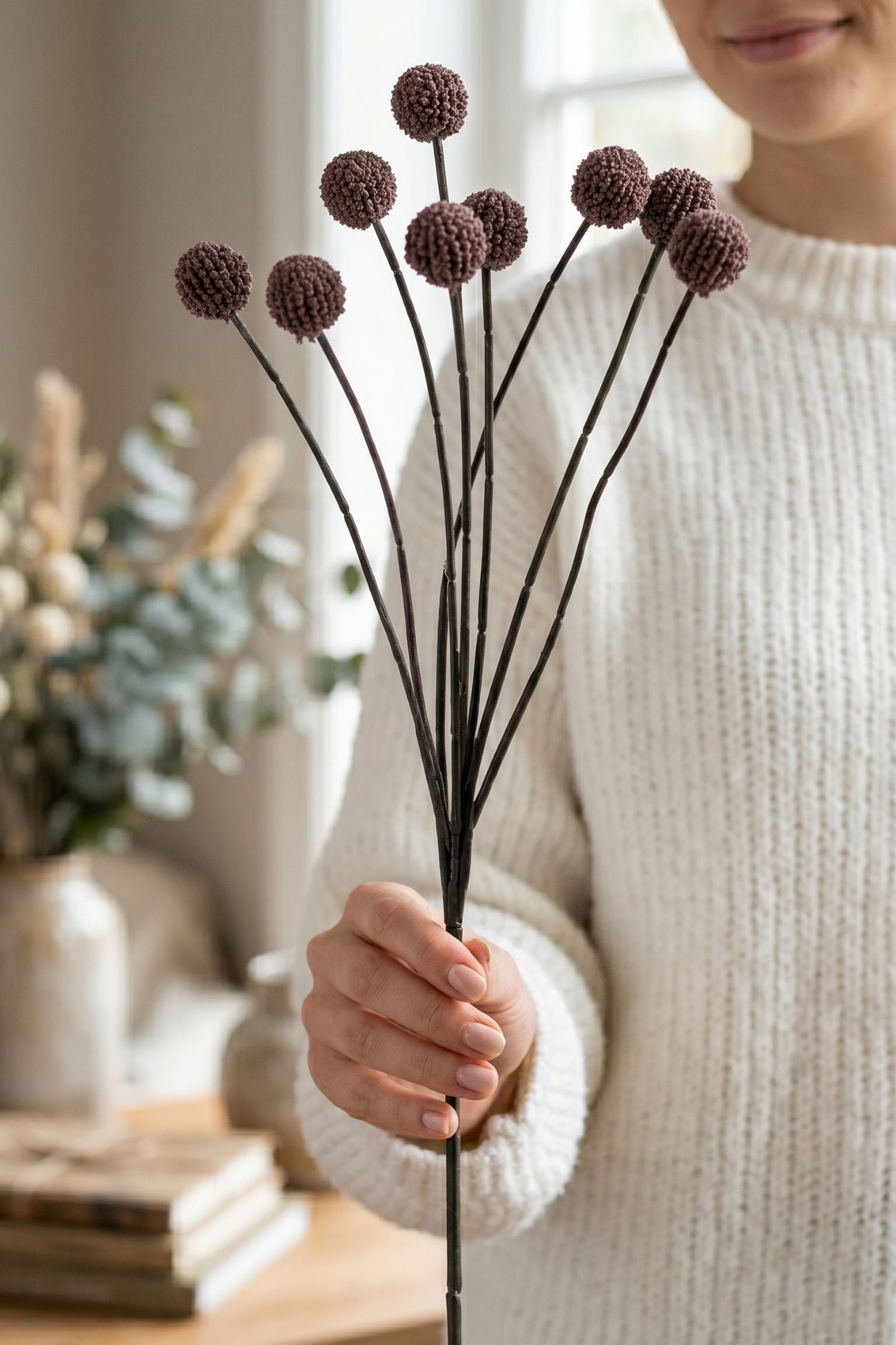 Florilegio Craspedia Bordeaux