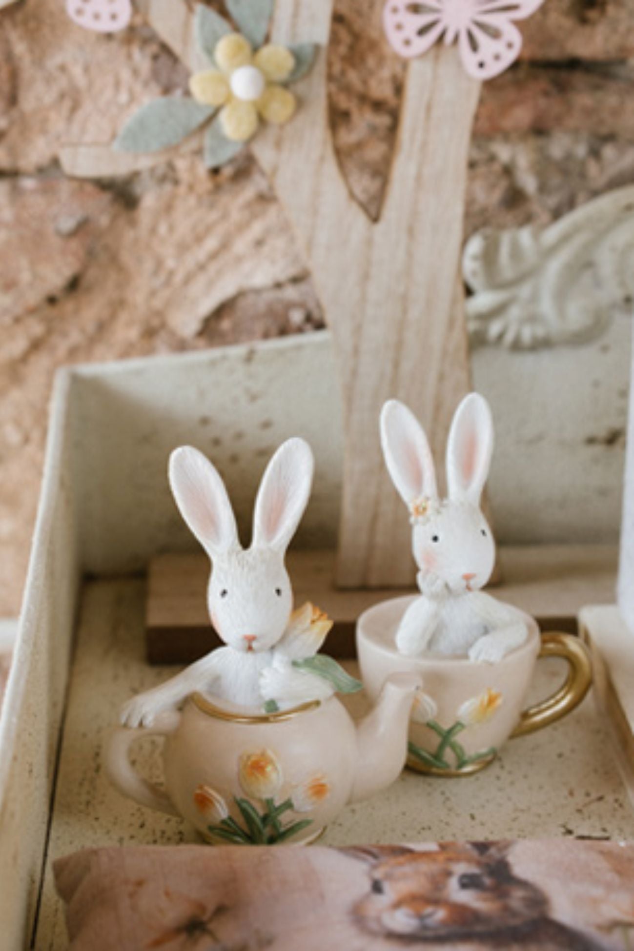 Pepen Coniglio in Teiera