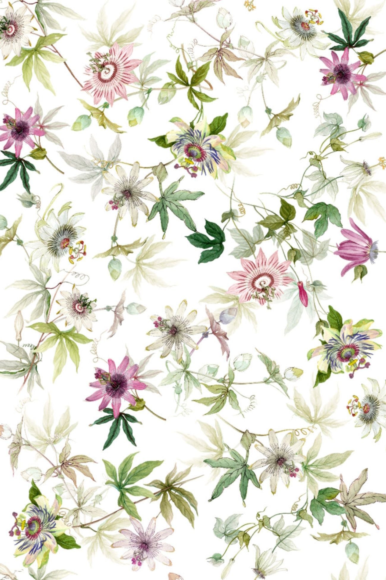 Granadilla Centrotavola