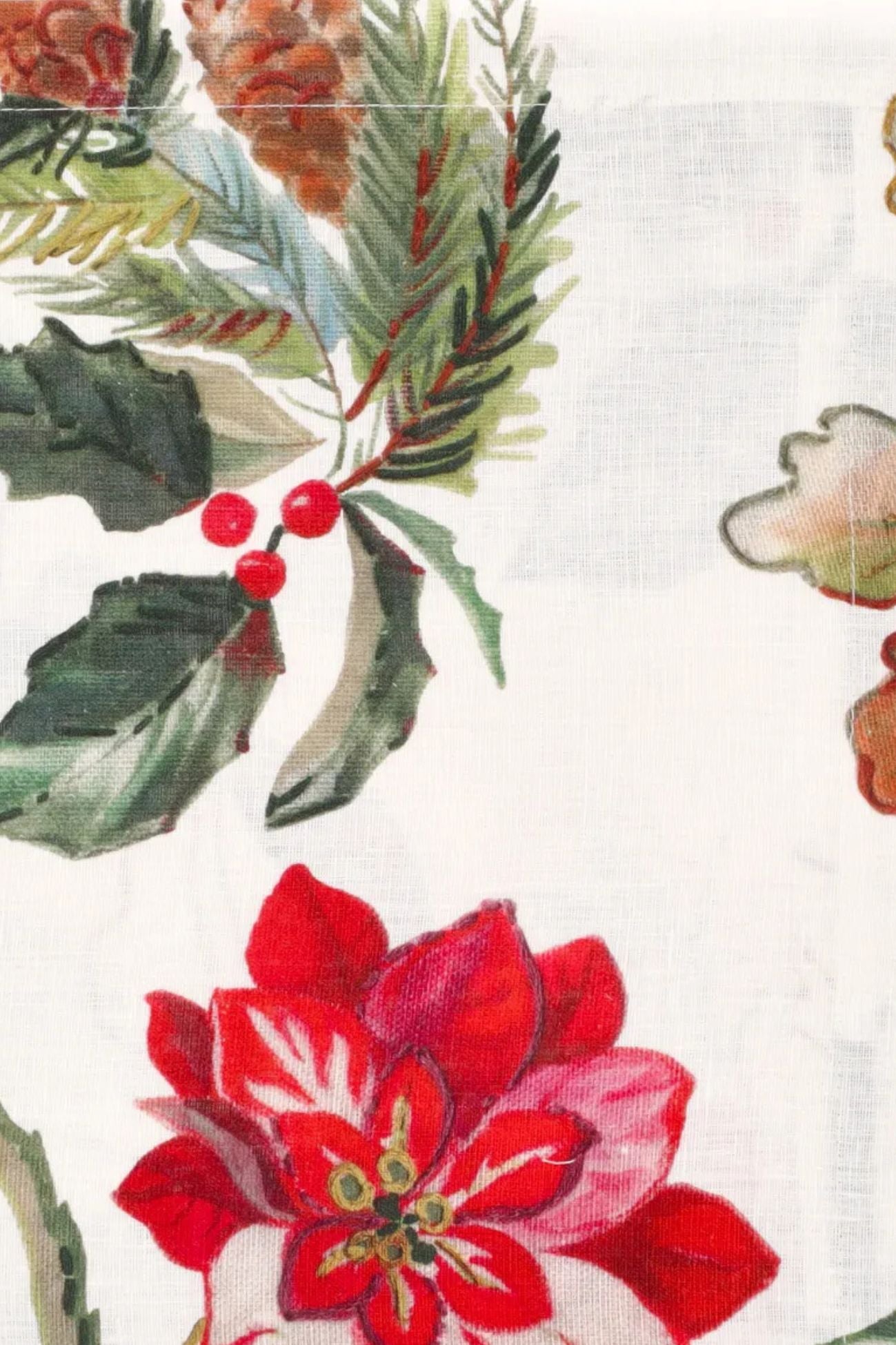 guirnalda de alegría