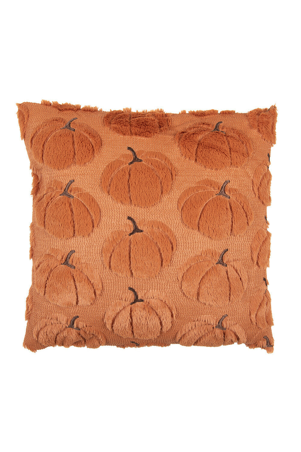 Pumpkin Field Cuscino Arancione