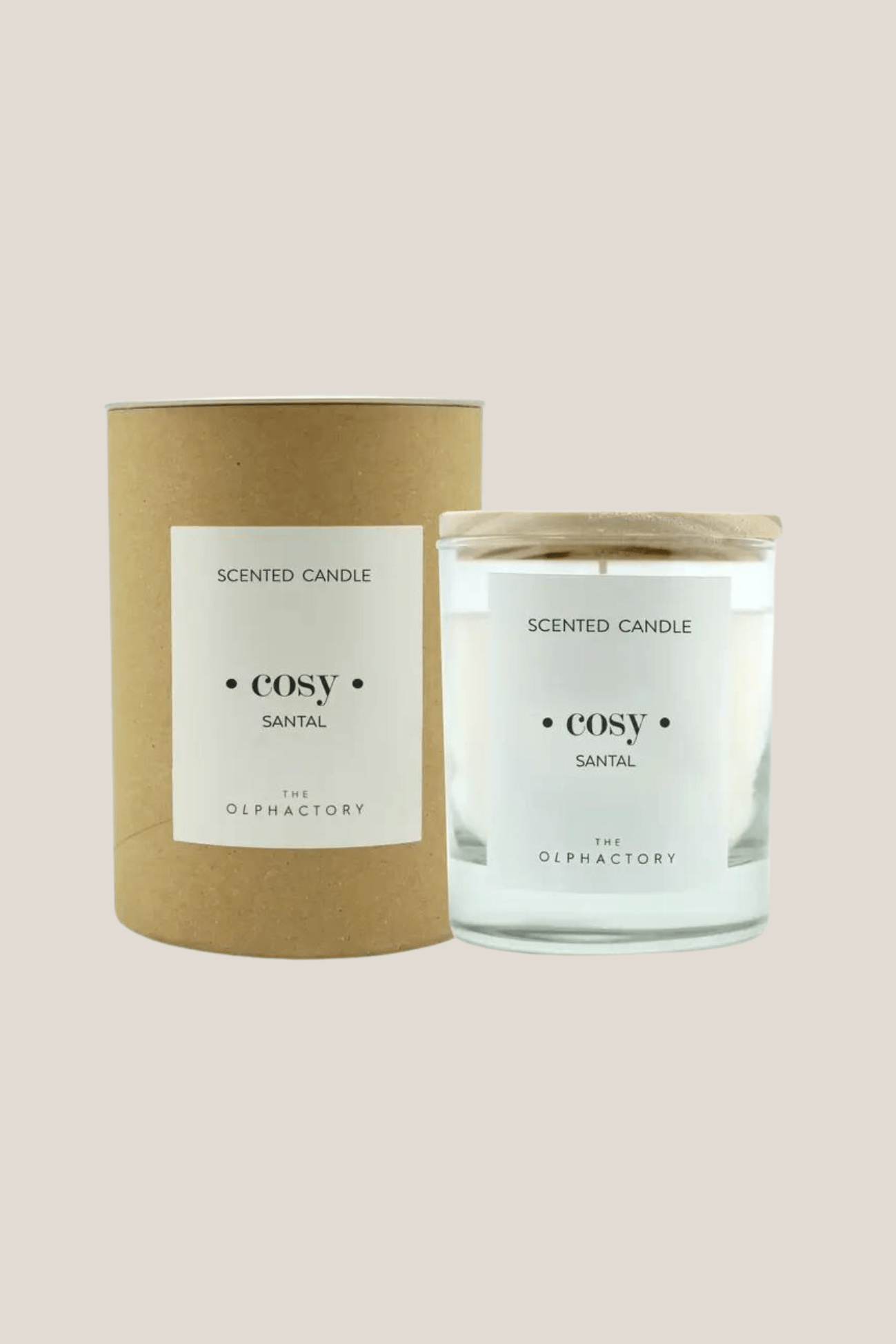Ambientair The Olphactory Cosy - Candela profumata ambra e vaniglia