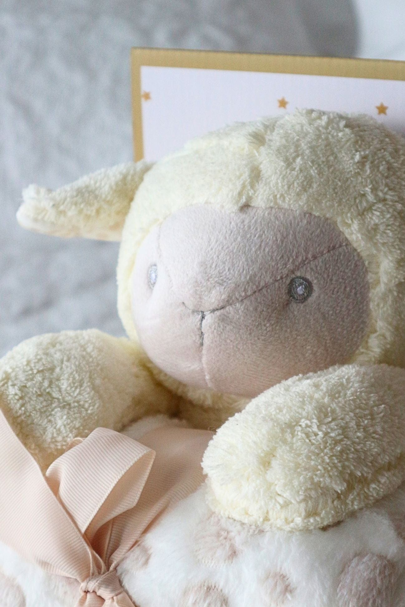 Blanc MariClo' Baby Plaid Baby Plaid - Copertina con peluche 100x75 | Blanc MariClo'