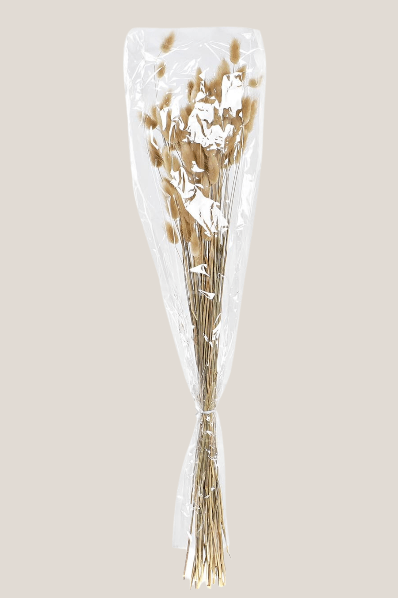 Item International Ivy Mazzo di fiori secchi