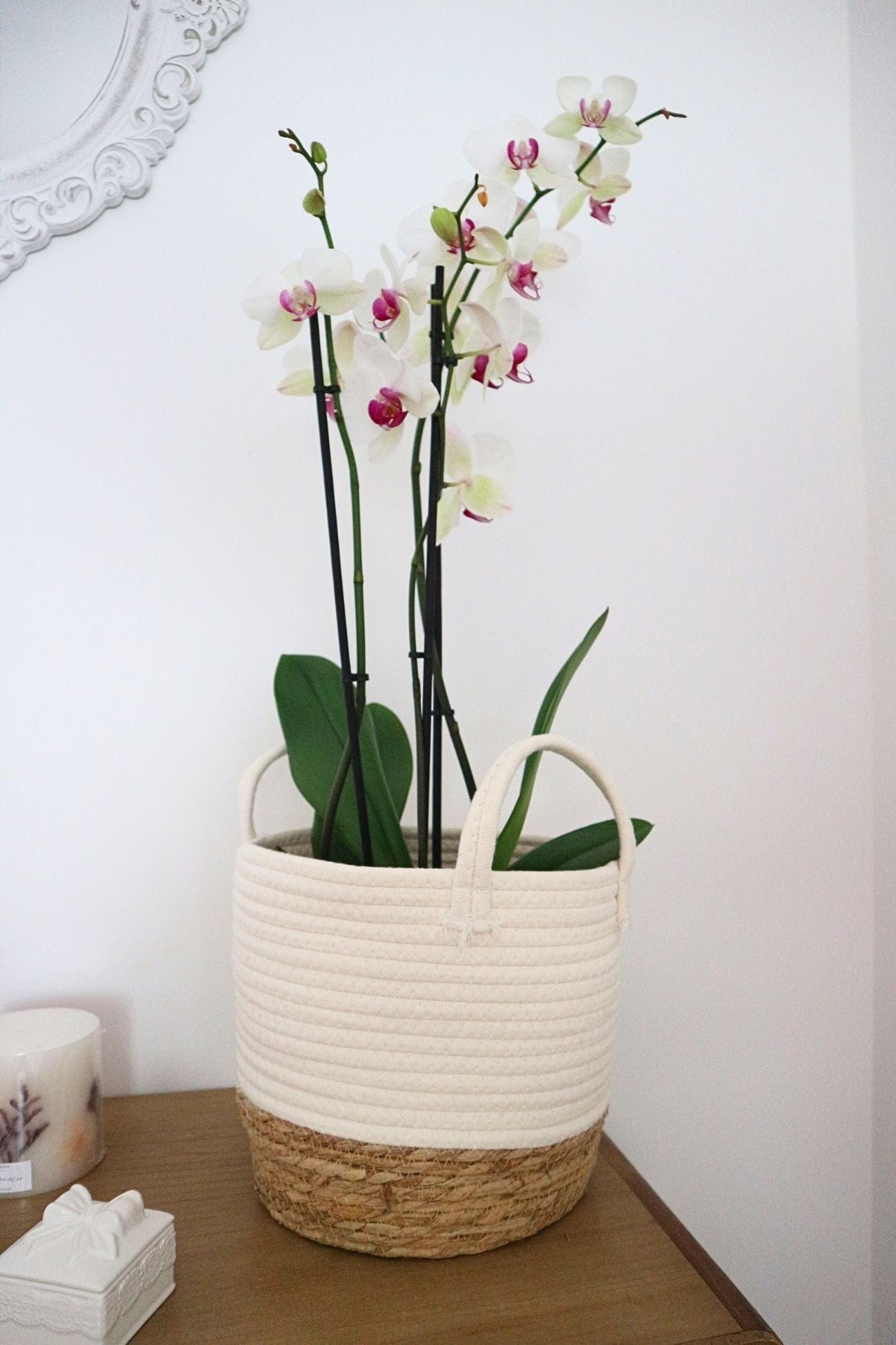 Item International Karen Karen - Cesto portaoggetti in cotone | Item International