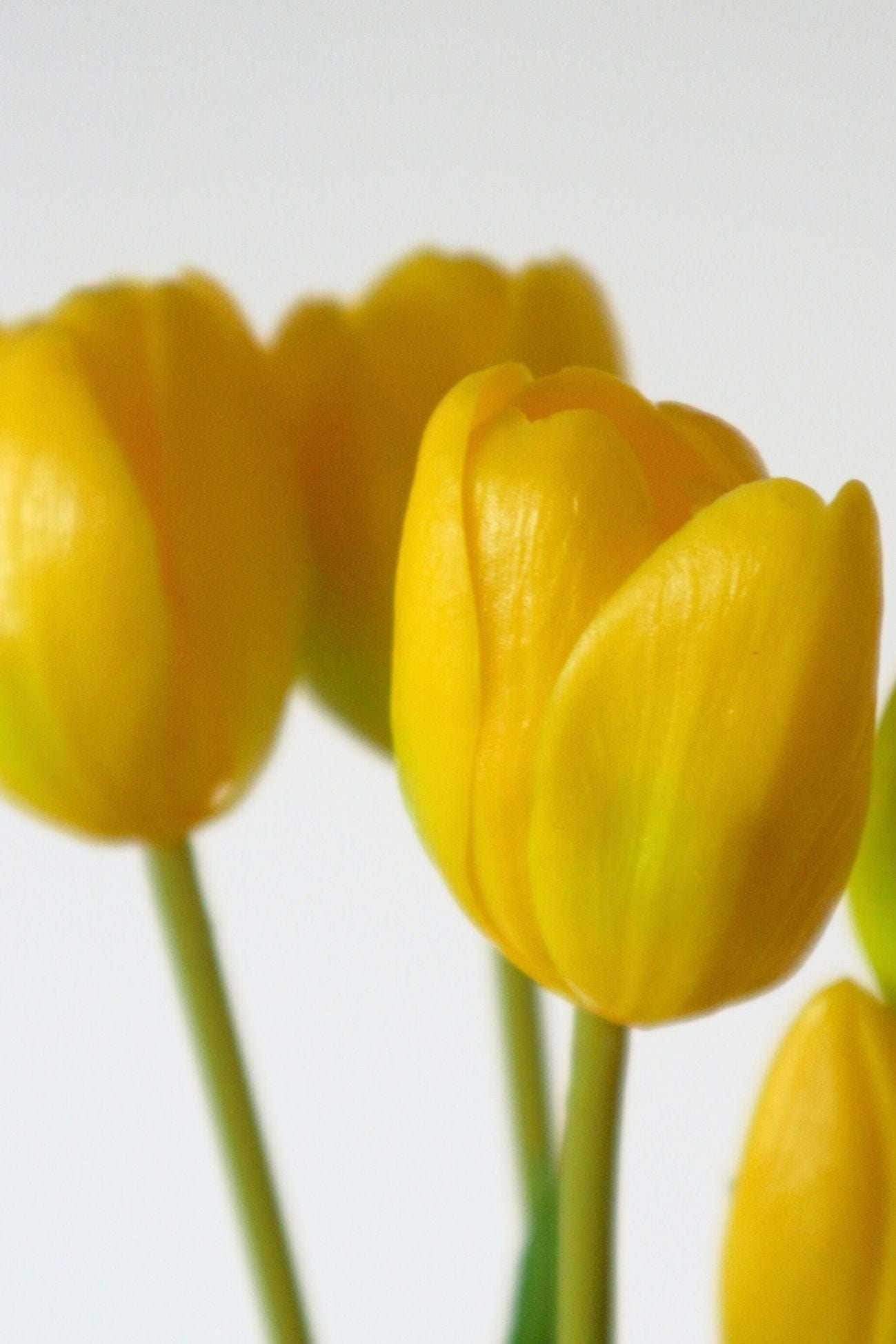 Jolipa Aletheia Aletheia - Mazzo di 5 tulipani artificiali color giallo 40 cm | Jolipa