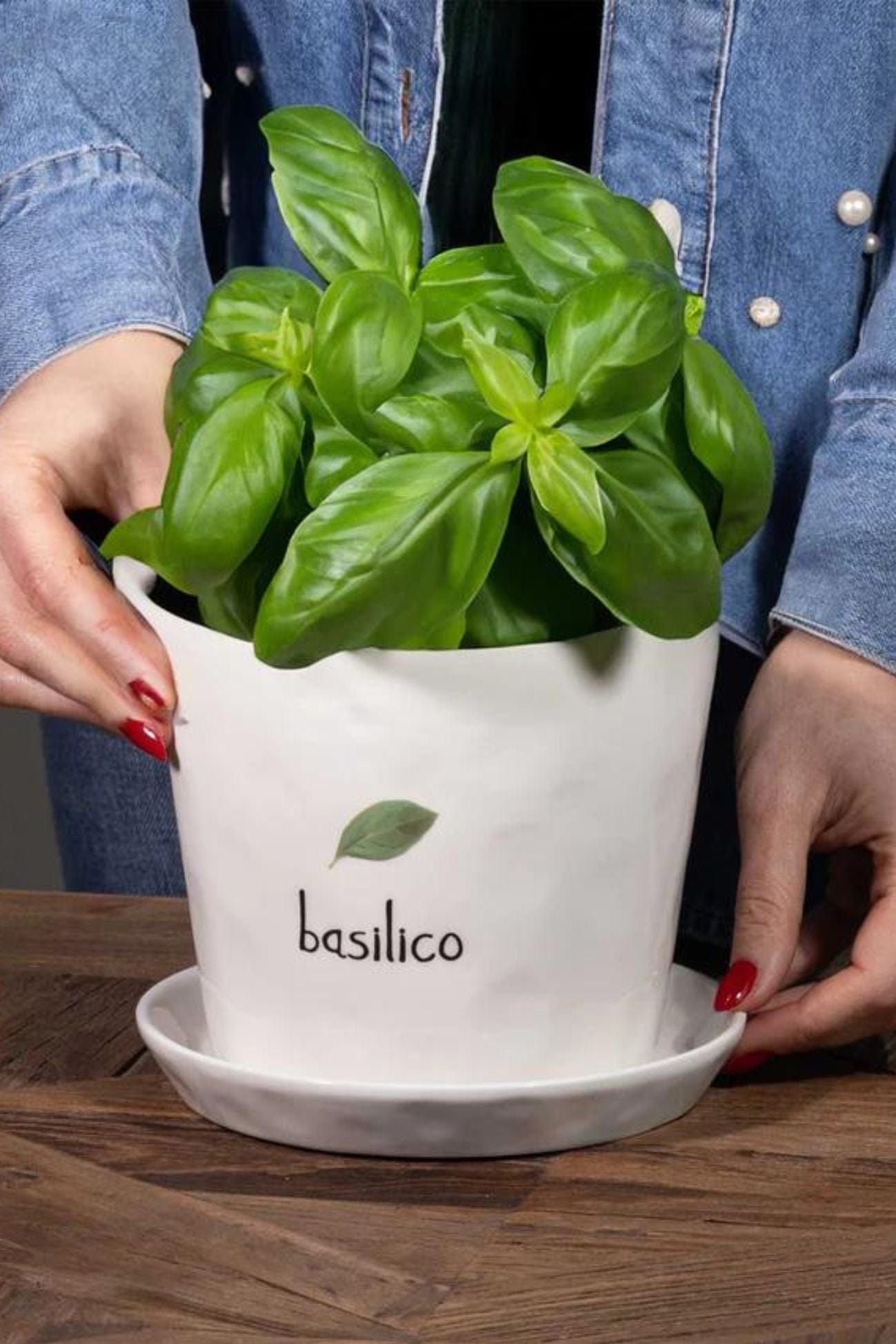 Simple Day Basilico Basilico - Portavaso e sottovaso in gres porcellanato Basilico | Simple Day