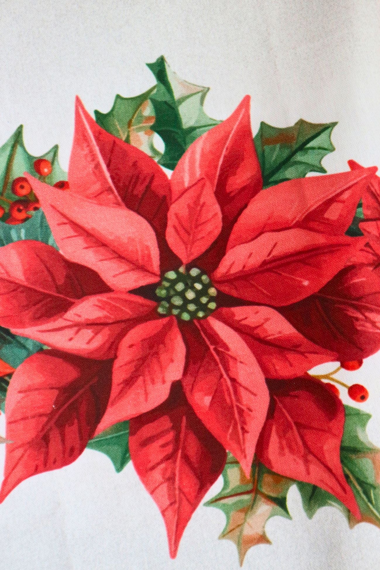 Pueblo Navideño - Natalia