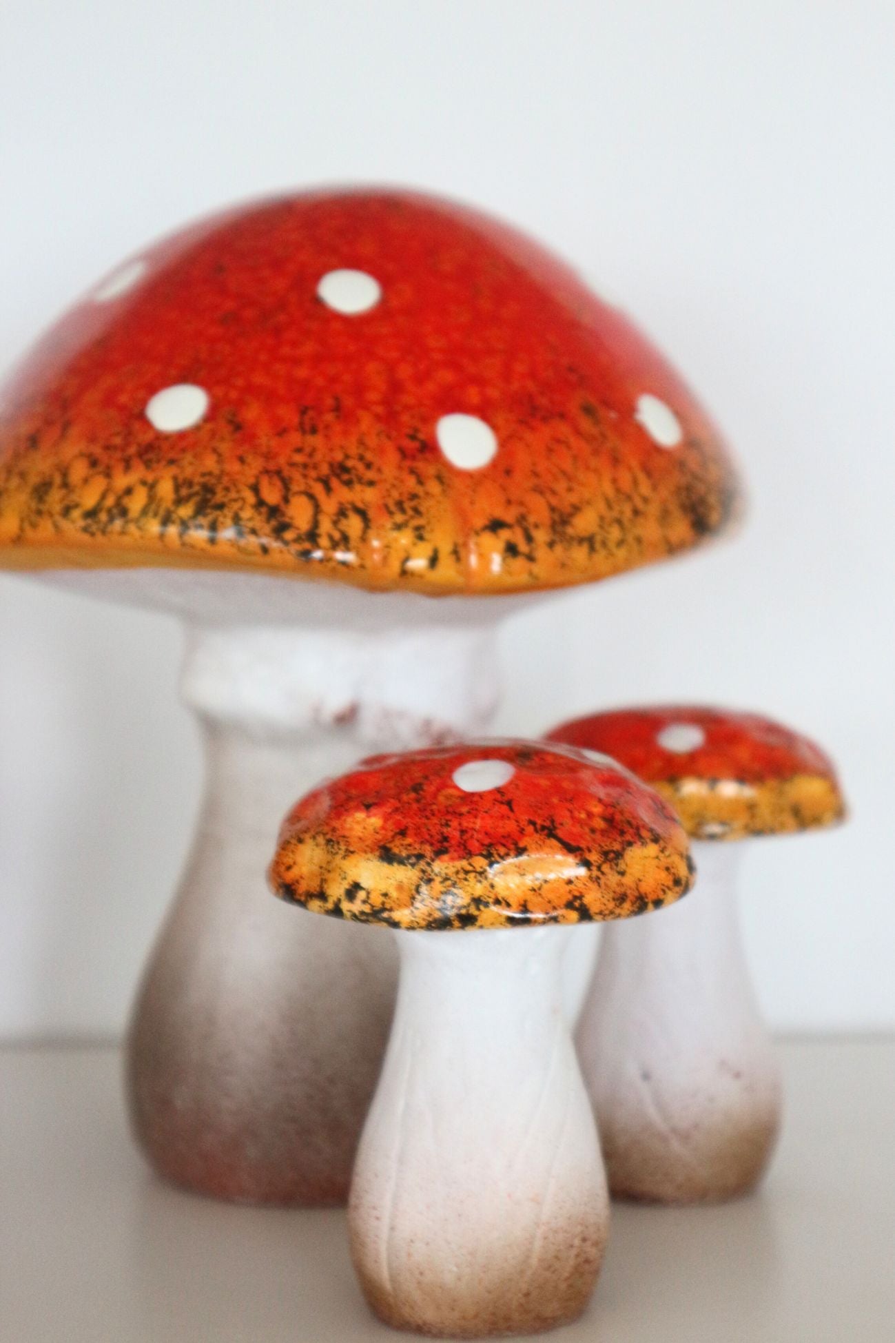 Amanita