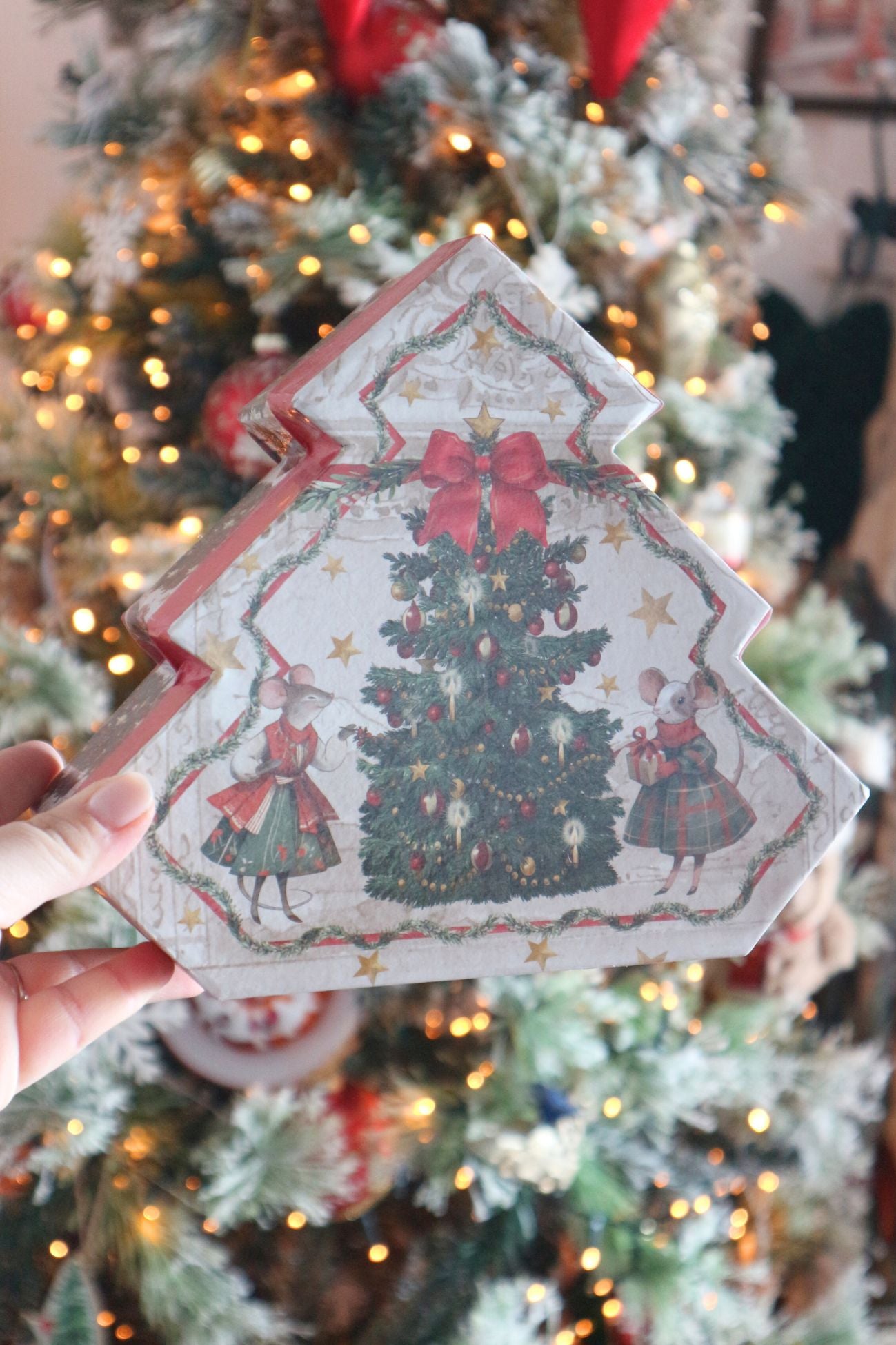 El país de las maravillas del oso