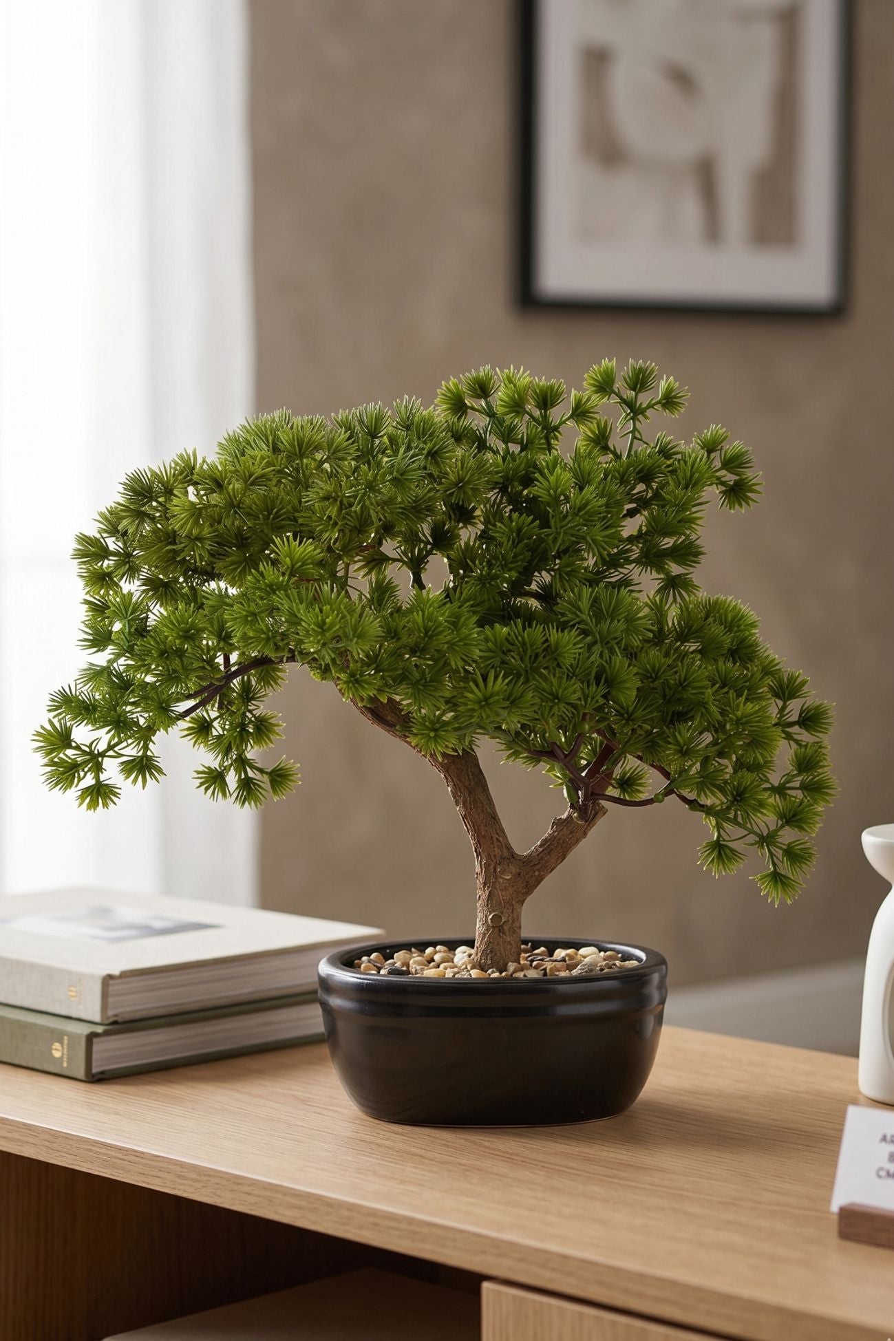 Bonsai Pino