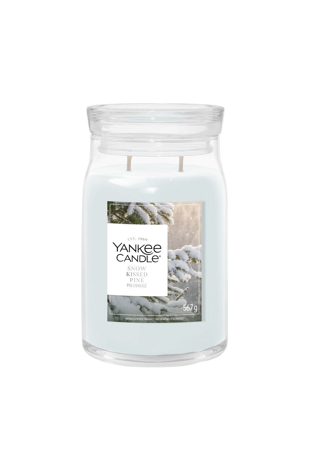 Snow Kissed Pine Candela Giara Signature Grande