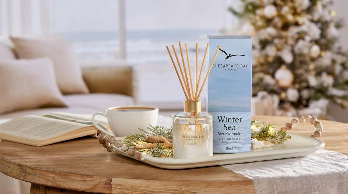 Winter Sea Diffusore Stick - Orizzontale