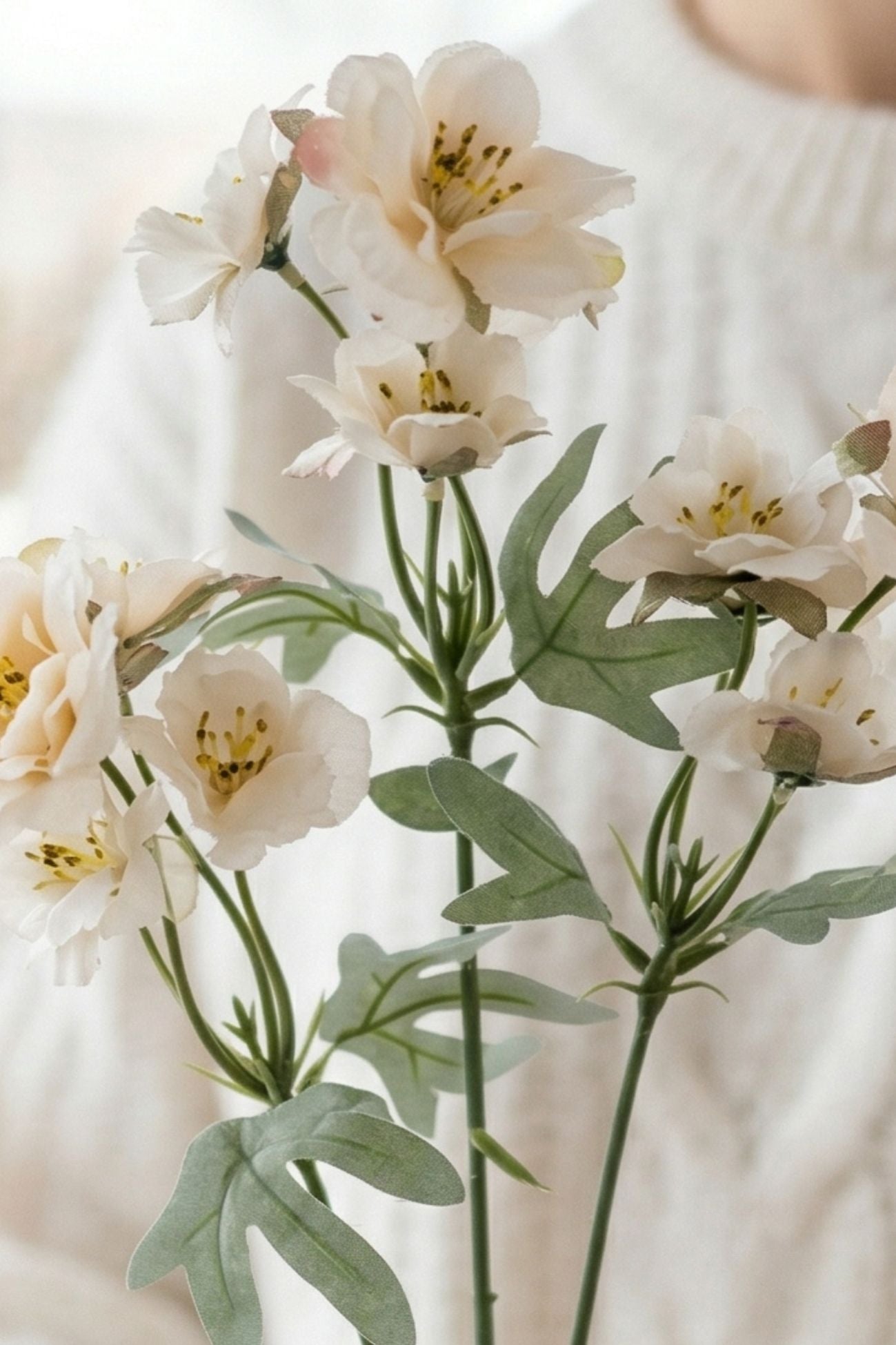 Florilegio Stelo Bianco