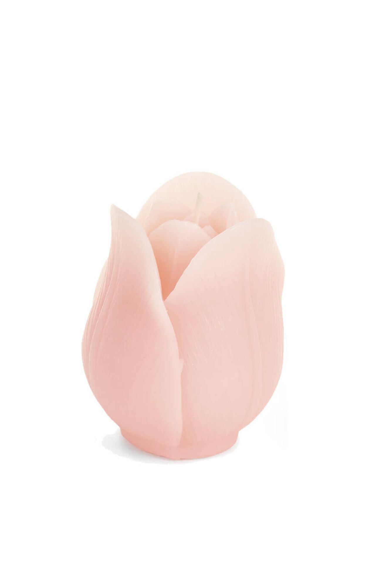 Fiorirà Candela Tulipano Rosa