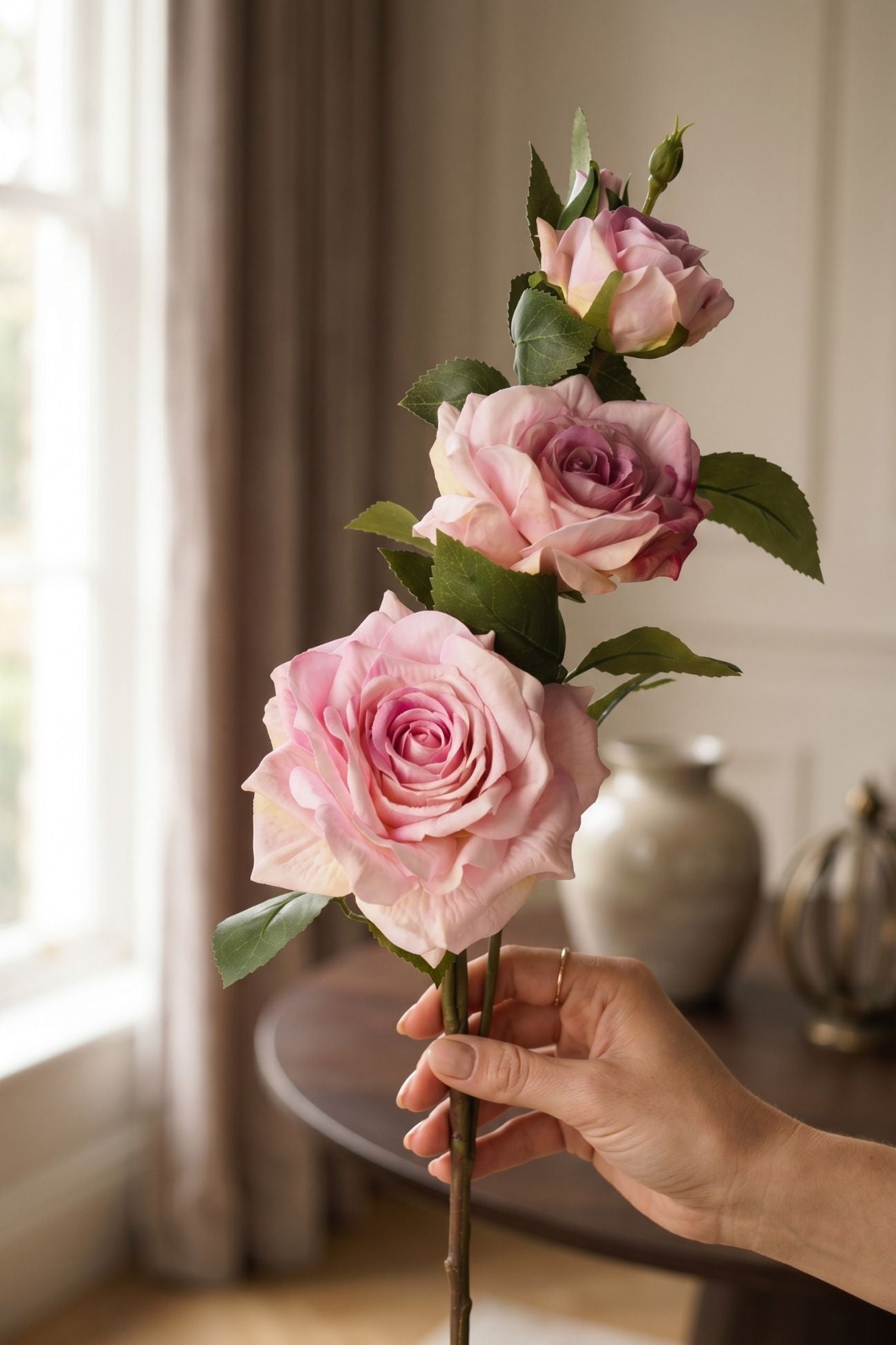 Flowers Rosa Rosa