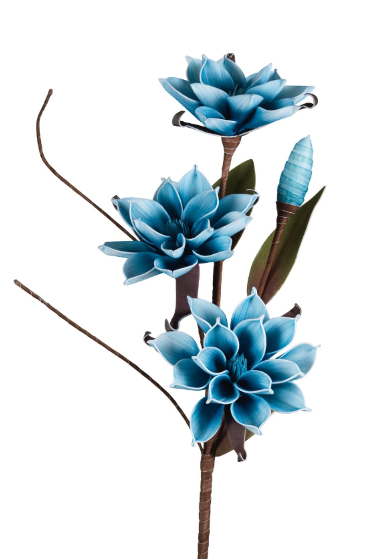 Flowers Gardenia Blu