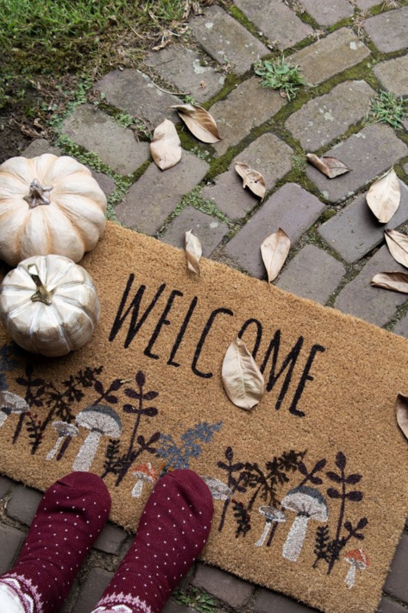 Welcome