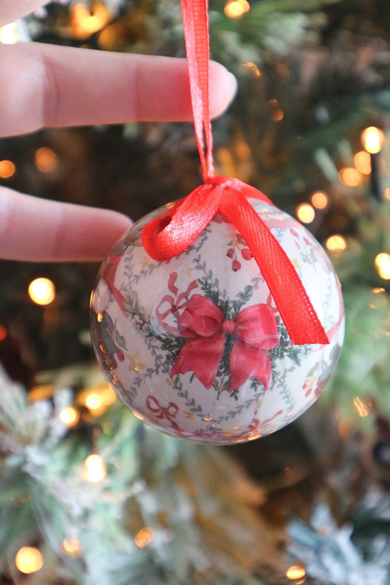 El país de las maravillas del oso