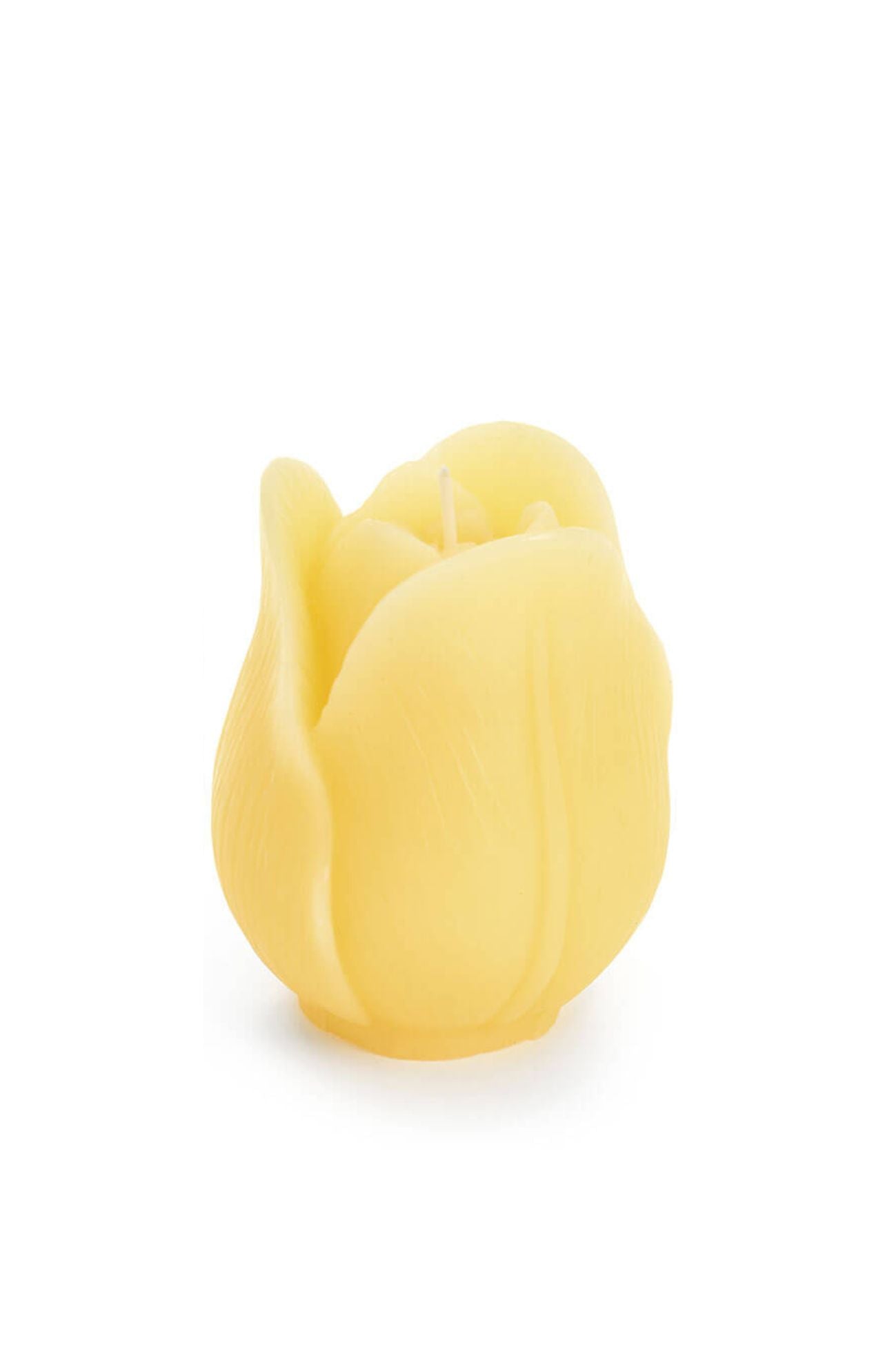 Fiorirà Candela Tulipano Giallo