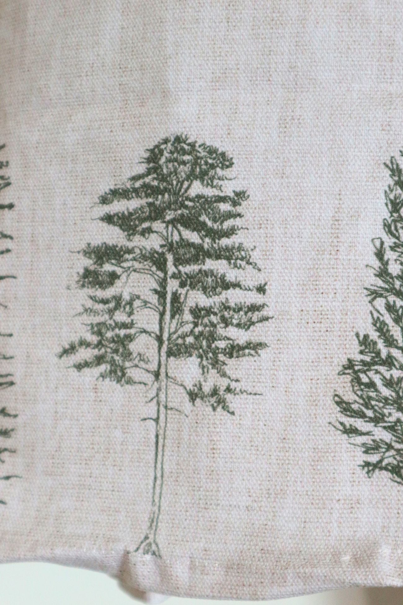 Natural Pine Trees