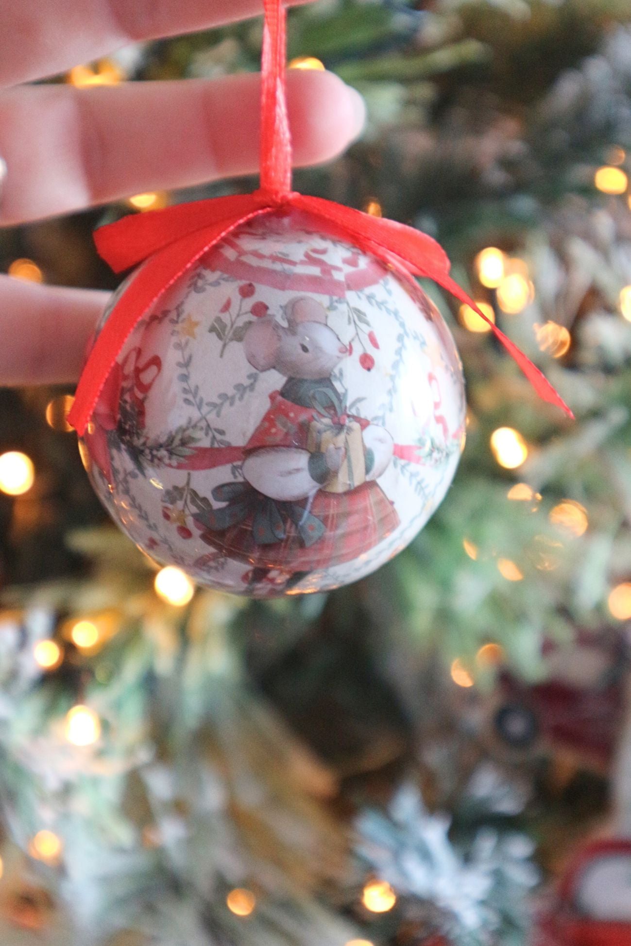 El país de las maravillas del oso