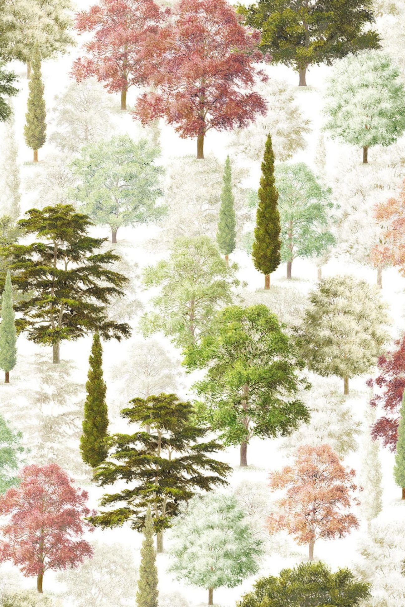 Greeson Completo Letto Principale Izylinens