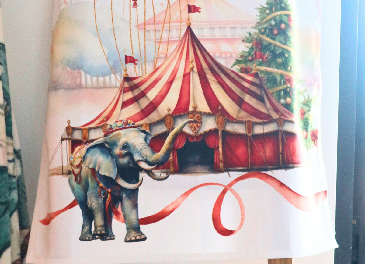Circus Strofinaccio Palloncini