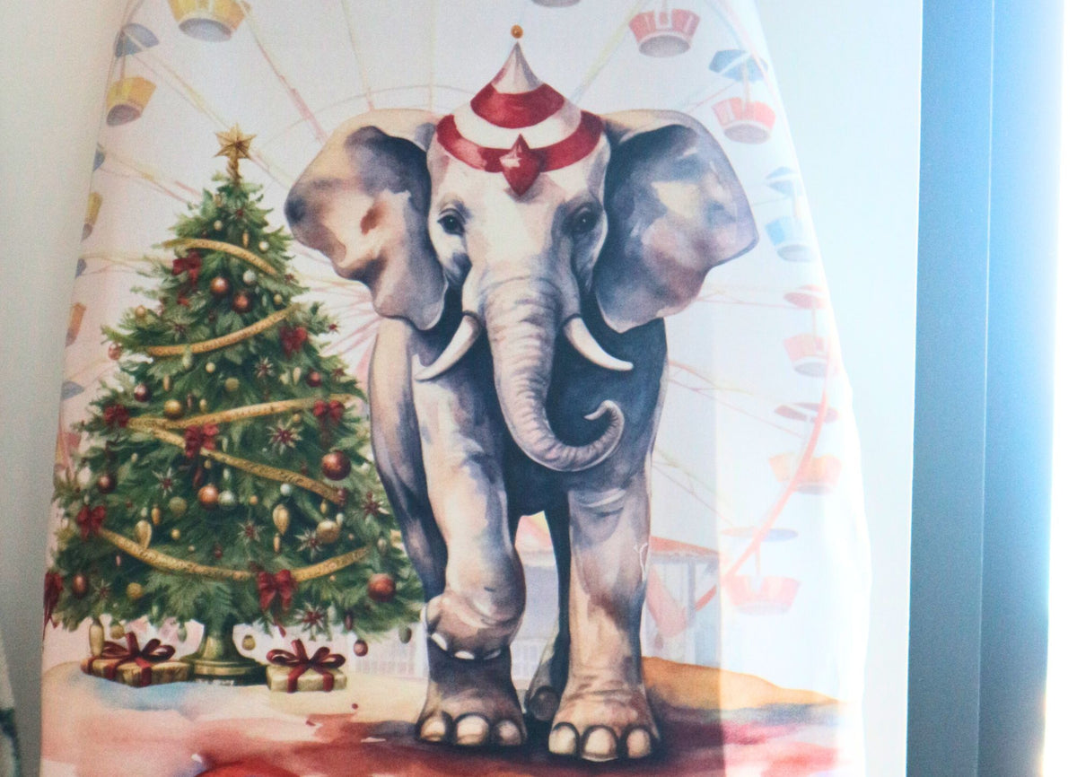 Circus Strofinaccio Giostra