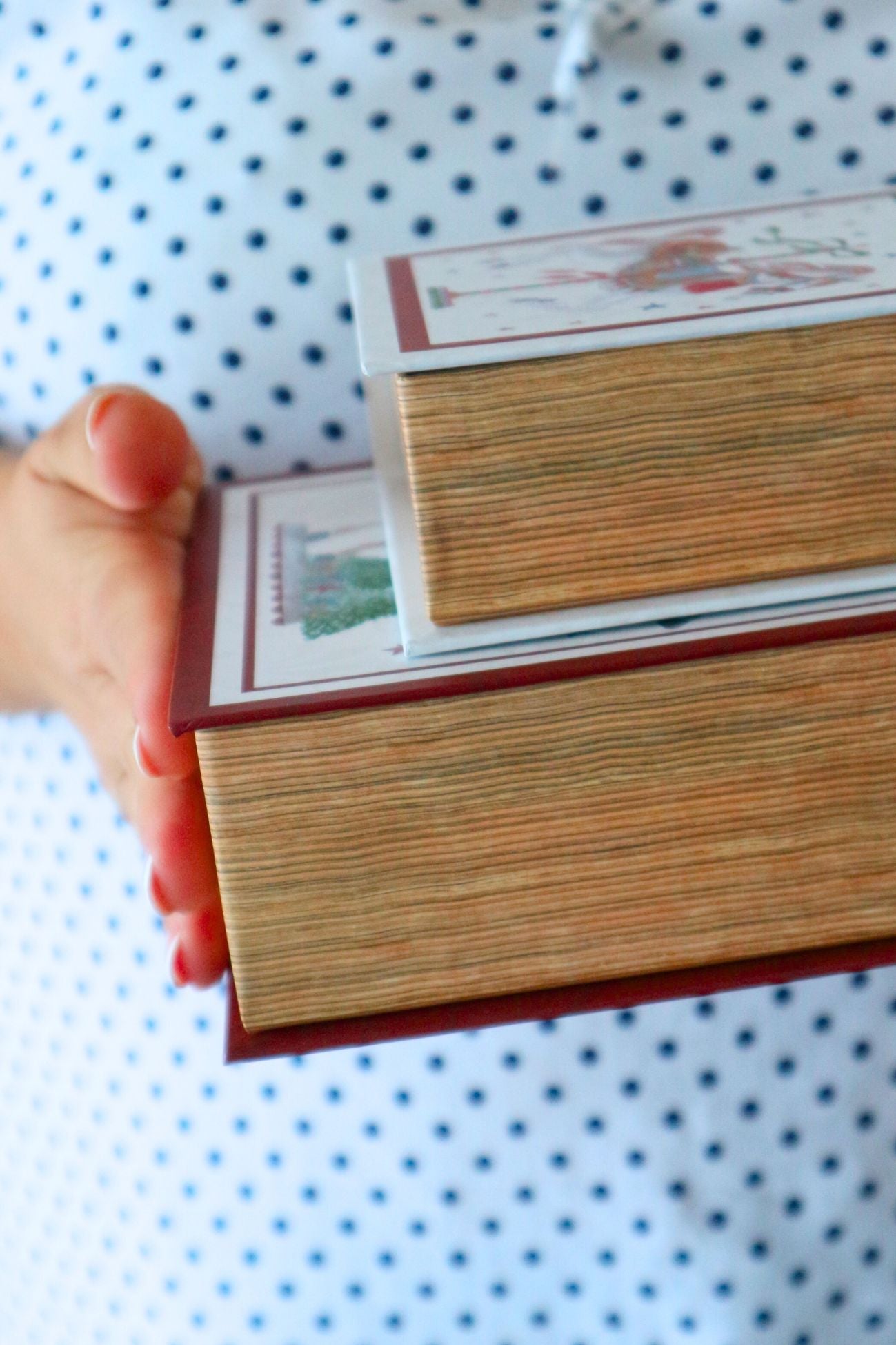 La Giostra Di Amelie