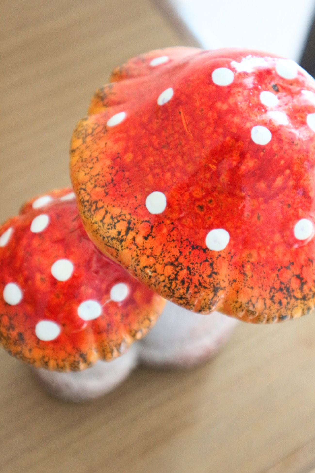 Amanita