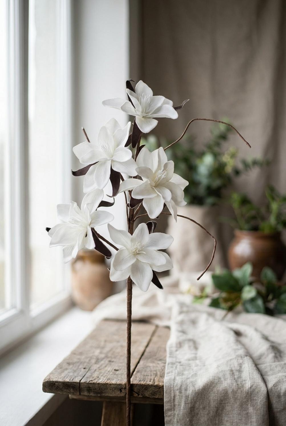 Flowers Magnolia Bianca