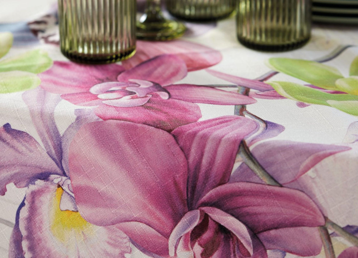 Orchidea