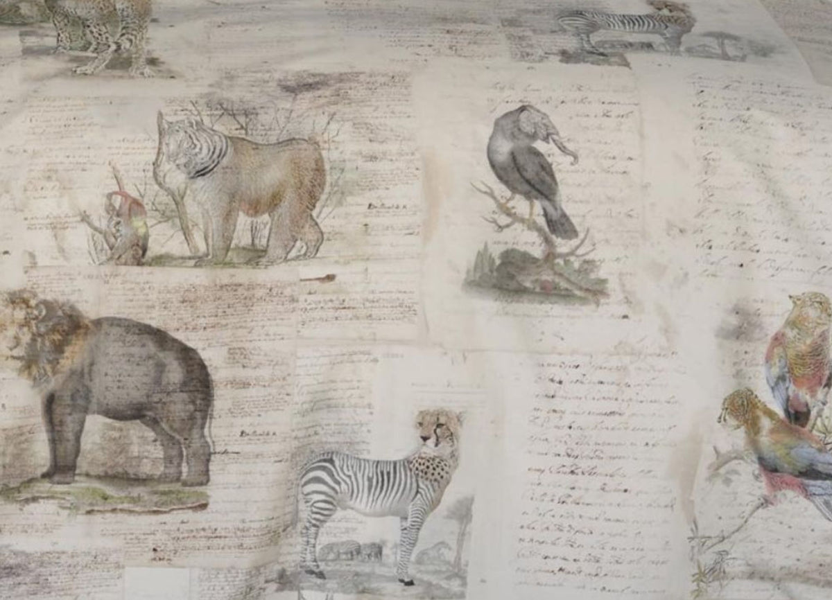 Darwin Duvet Cover Izylinens