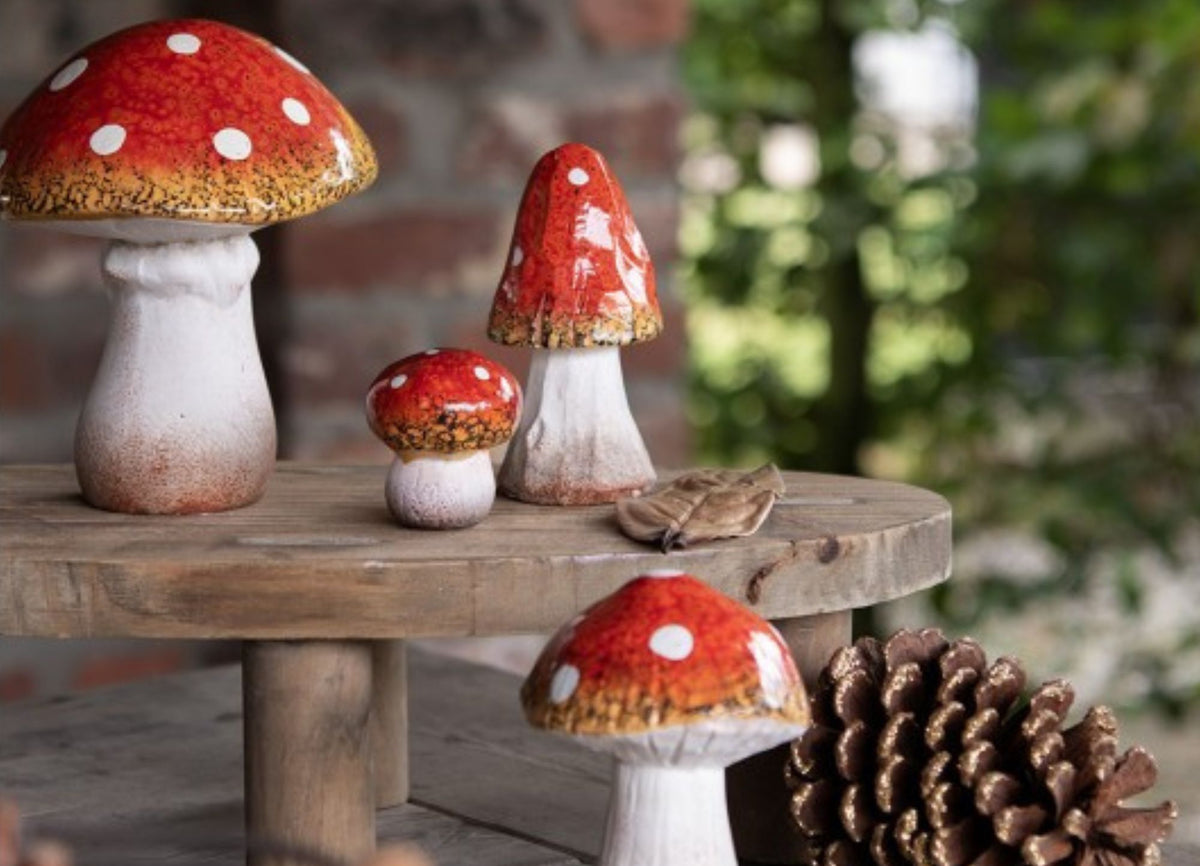 Amanita