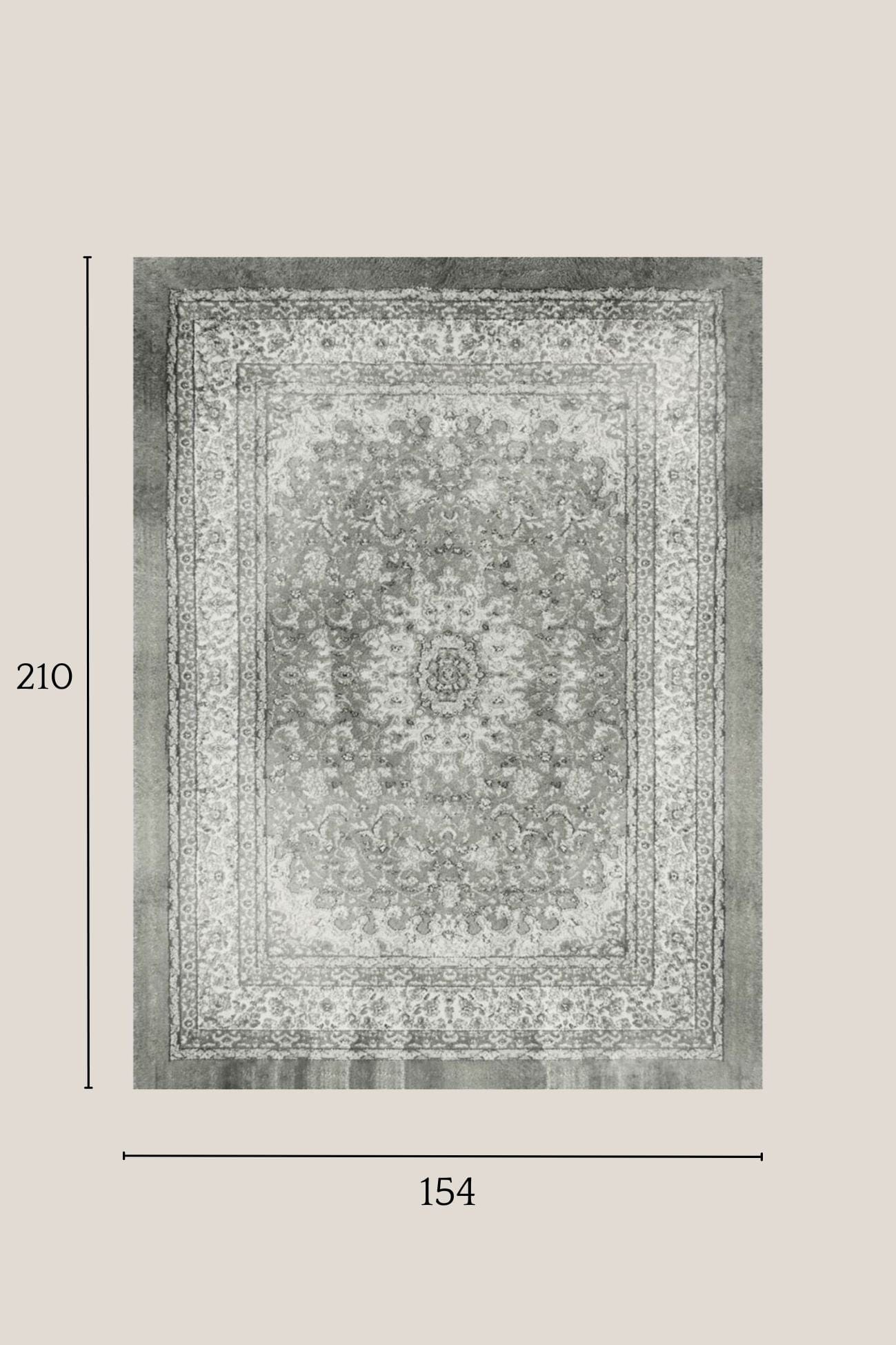 Blanc MariClo' Persian Persian - Persian - Tappeto elegante tortora stampato in acrilico e cotone 210x154 | Blanc MariClo'