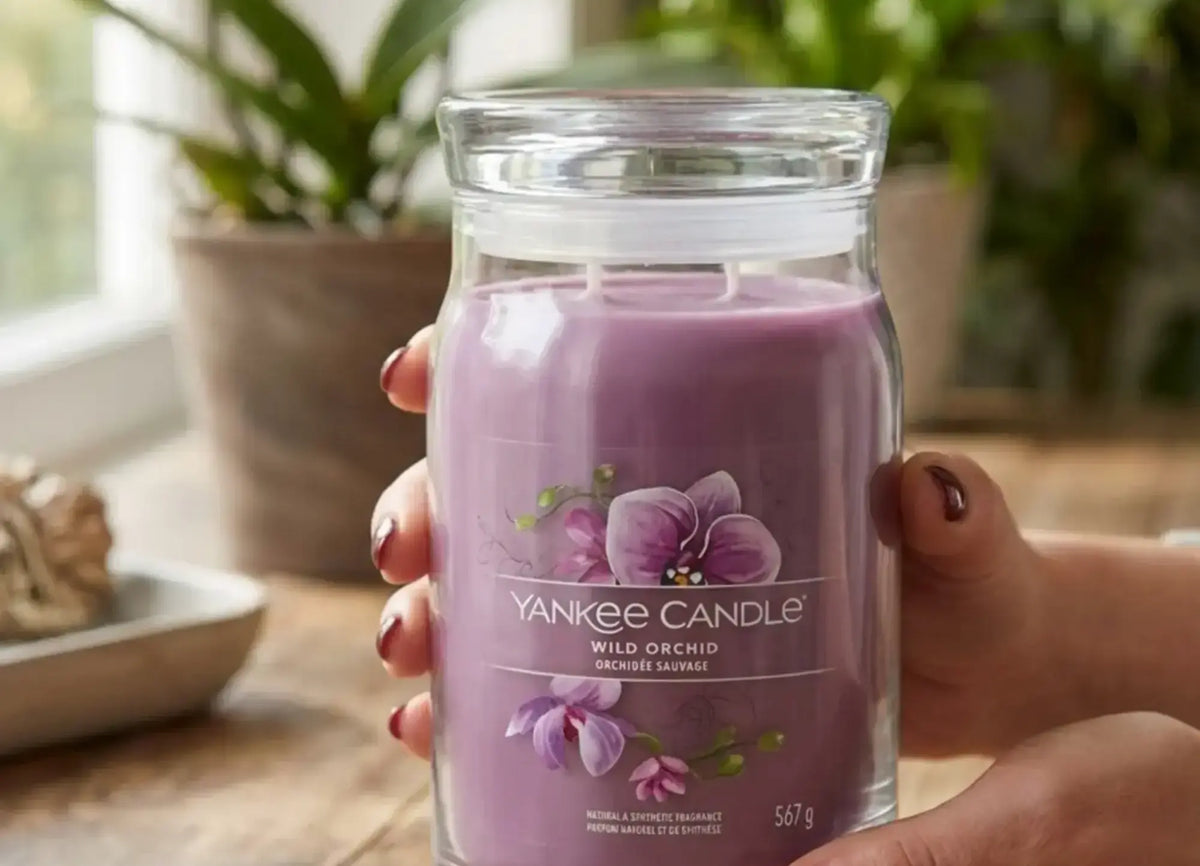 Wild Orchid Candela Giara